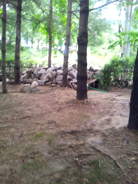 2011-0802-084023529.JPG