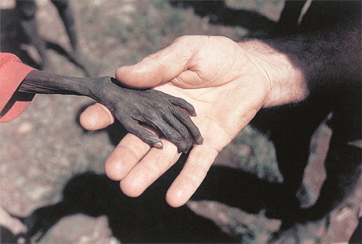 아프리카어린이의손.jpg